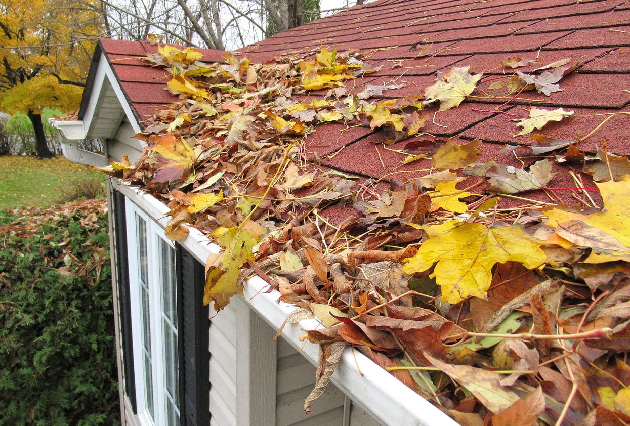 Technician cleaning a gutter